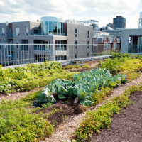 Sustainable Cities and Communities
