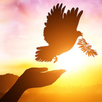 Peace, Justice, and Strong Institutions